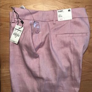 Express Columnist Pants